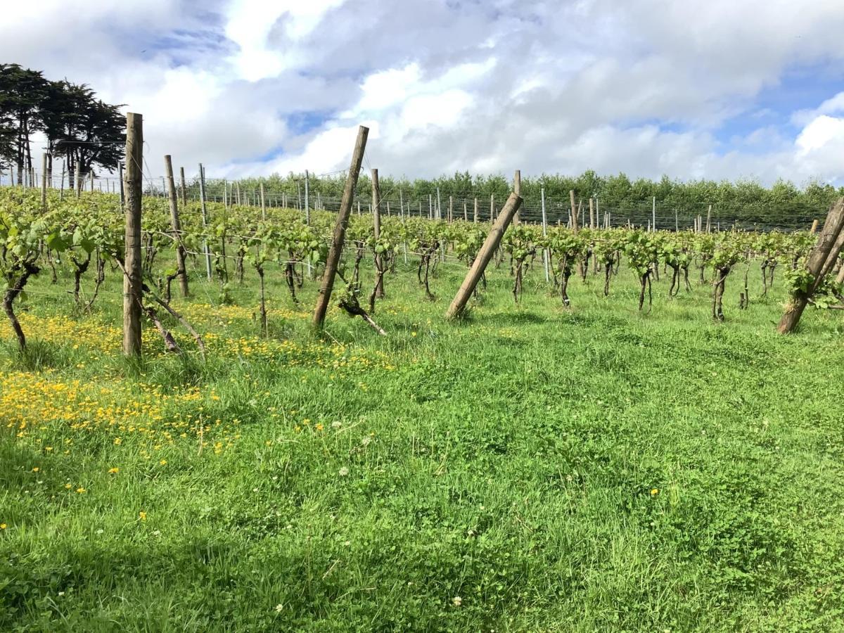 Polgoon Vineyard Annex Penzance Apartment Luaran gambar